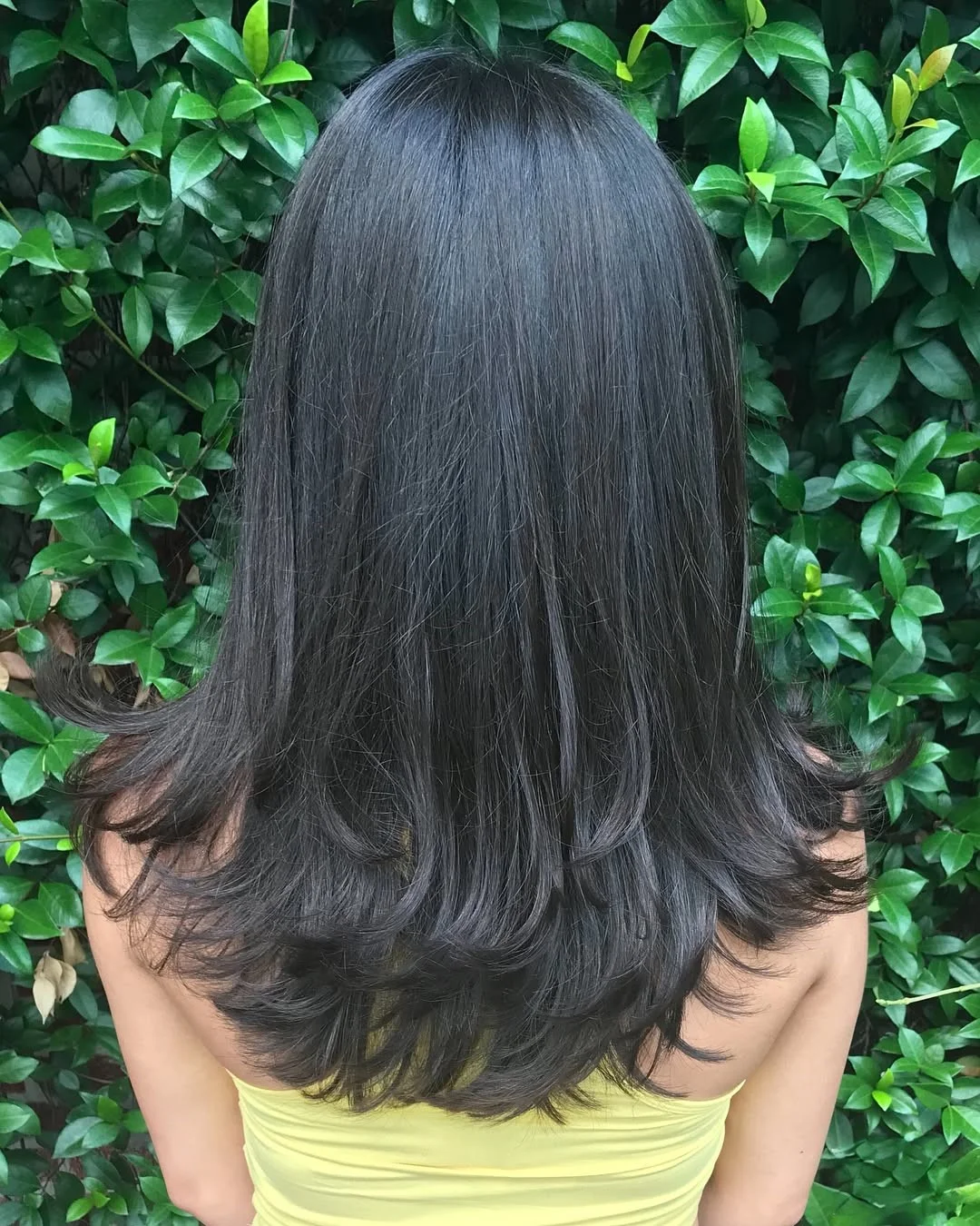 chic summer haircut 2026 Glossy Black U-Cut With Feathered Summer Ends