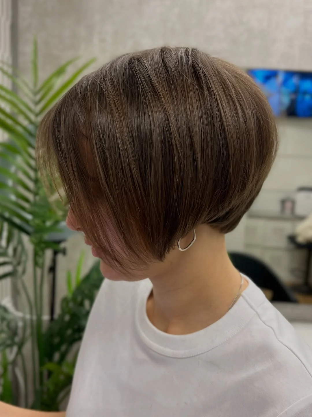 cute summer short haircuts 2026 Rounded Precision Bob With A Sleek Nape