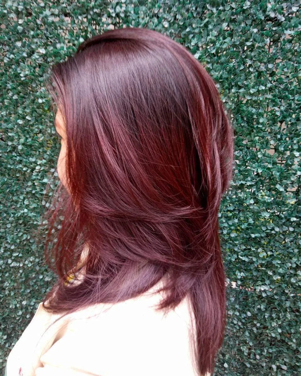 effortless summer easy hairstyle 2026 Deep Berry Layers With A Smooth Blowout